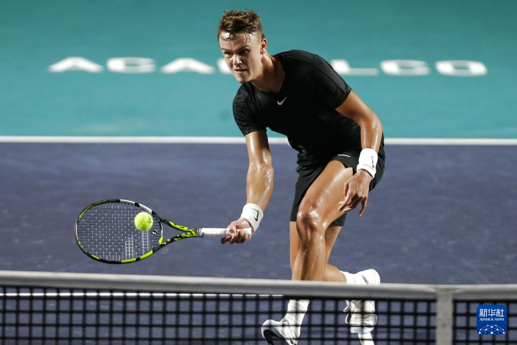 设立了专业 设立了专业